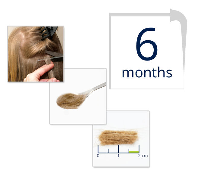 Hair Sample